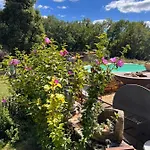 Domaine De Mombret Duravel
