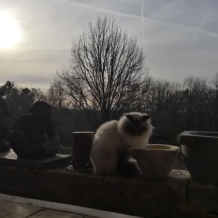 Lyxtält Domaine De Mombret *