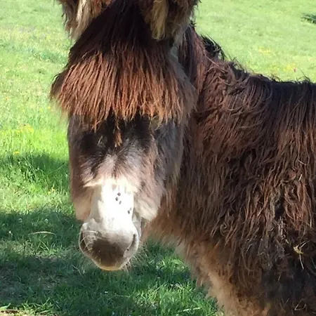 Lyxtält Domaine De Mombret