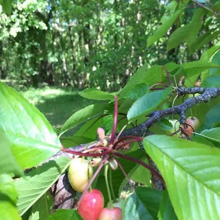 Lyxtält Domaine De Mombret *